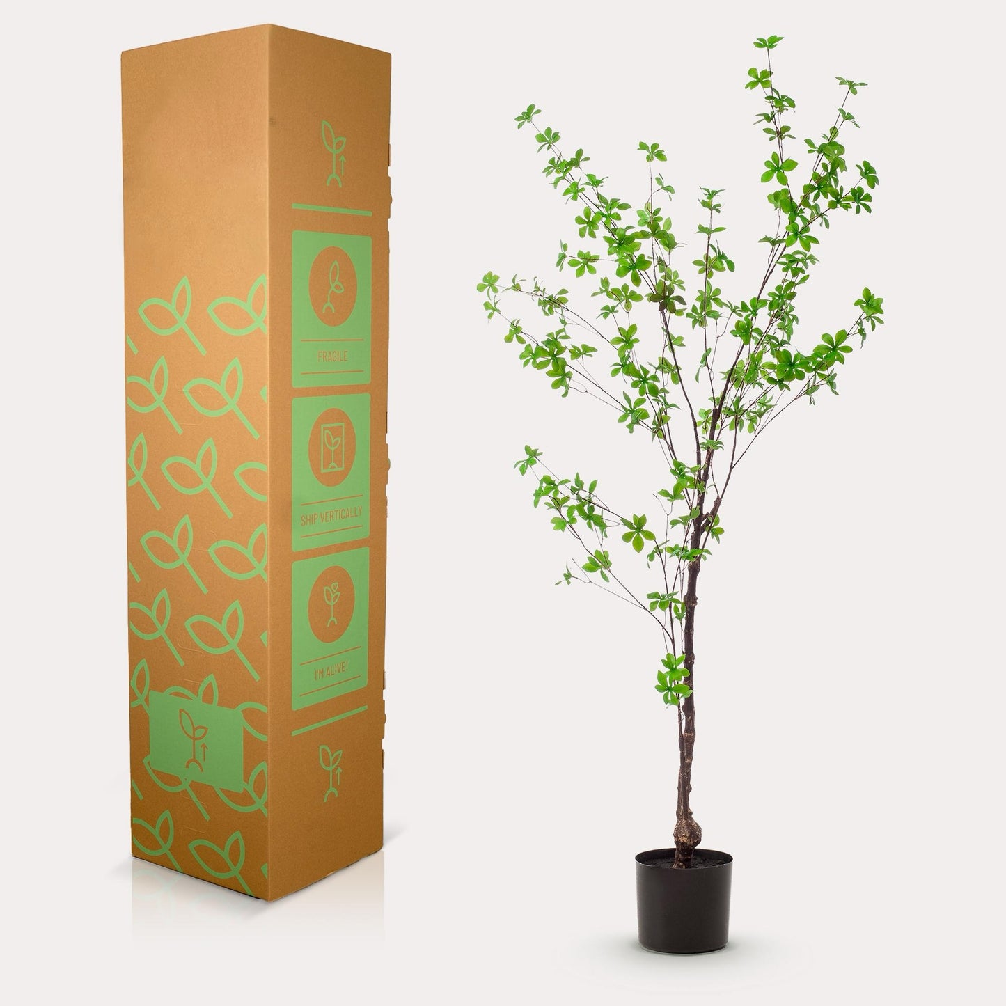 Oost-Indische kers kunstboom 150 cm | Tropische kunstboom voor binnen