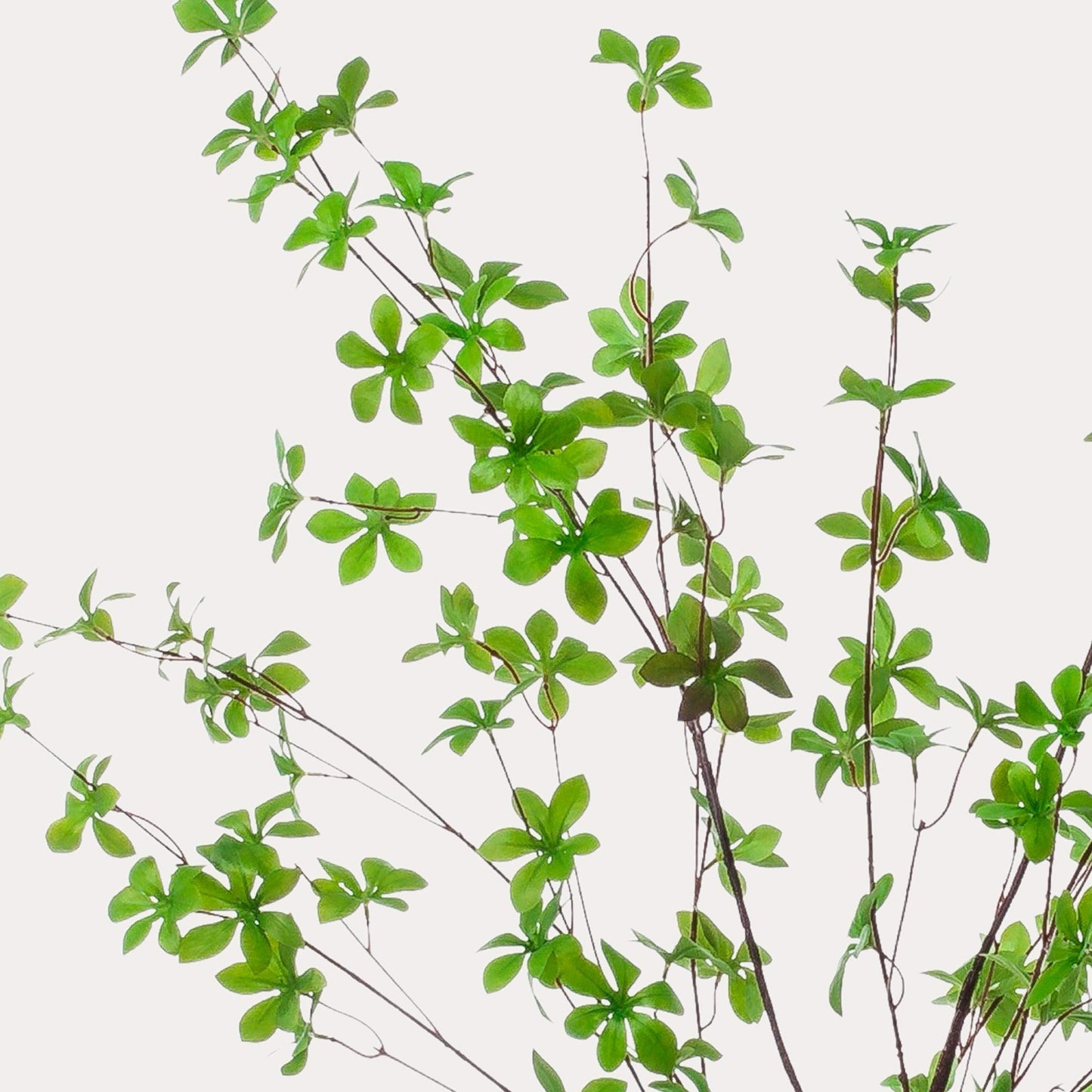 Oost-Indische kers kunstboom 150 cm | Tropische kunstboom voor binnen