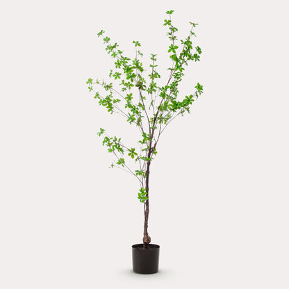 Oost-Indische kers kunstboom 150 cm | Tropische kunstboom voor binnen