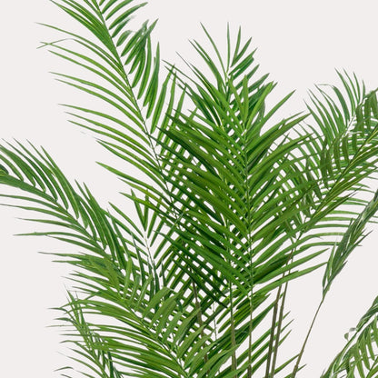 Areca palm kunstplant 180 cm | Tropische goudpalm grote kunstplant