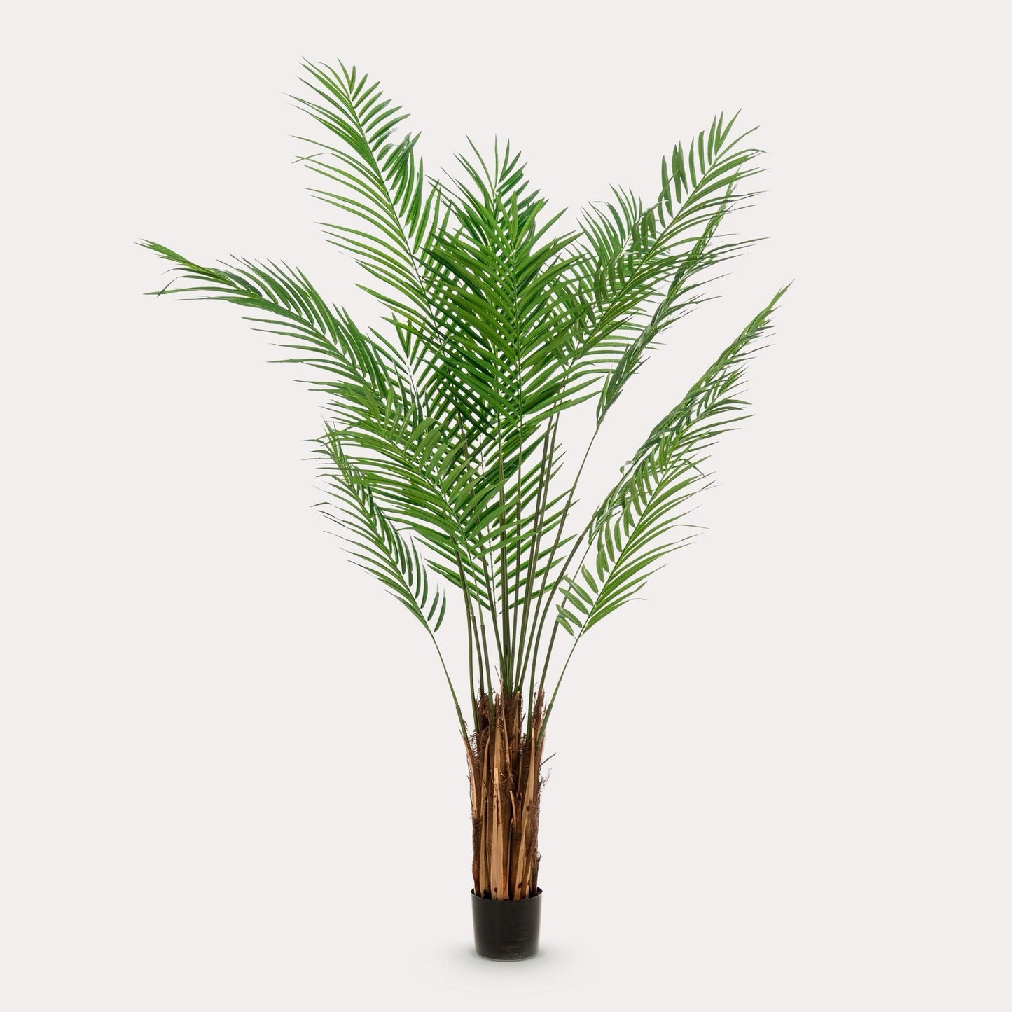 Areca palm kunstplant 180 cm | Tropische goudpalm grote kunstplant