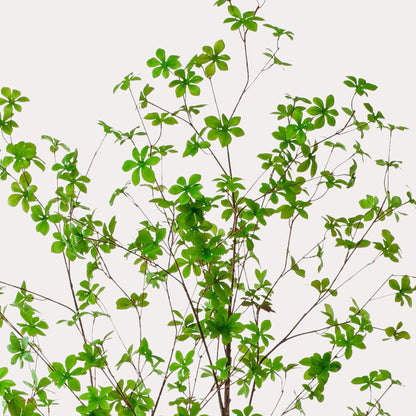 Tropaeolum kunstboom 210 cm | Grote tropische kunstplant Oost-Indische kers