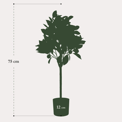 Kleine sinaasappelboom kunstplant 75 cm | Citrus kunstboom met oranje vruchten