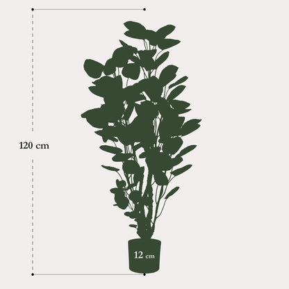 Polyscias Aralia kunstboom 105 cm | Luxe volle kunstplant binnen
