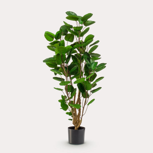 Polyscias Aralia kunstboom 105 cm | Luxe volle kunstplant binnen