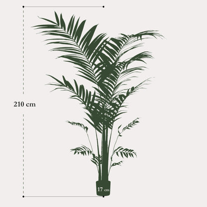 Kentia palm kunstplant 210 cm | Grote tropische kunstpalm binnen