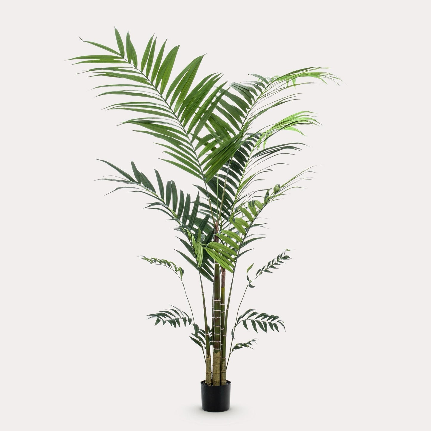 Kentia palm kunstplant 210 cm | Grote tropische kunstpalm binnen