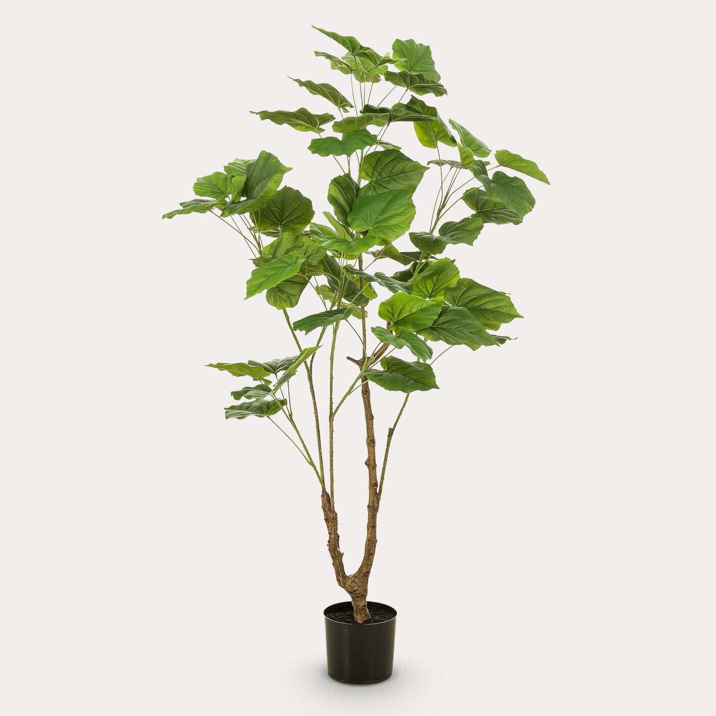 Ficus Umbellata kunstboom 125 cm | Grote kamerplant nep Ficus voor binnen