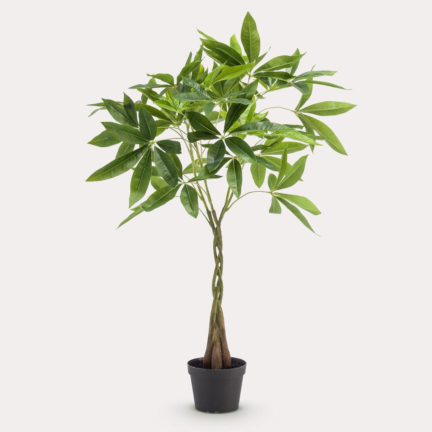 Pachira Geldboom Kunstplant 90 cm | Nepplant met Gevlochten Stam voor Woonkamer