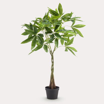 Pachira Geldboom Kunstplant 90 cm | Nepplant met Gevlochten Stam voor Woonkamer
