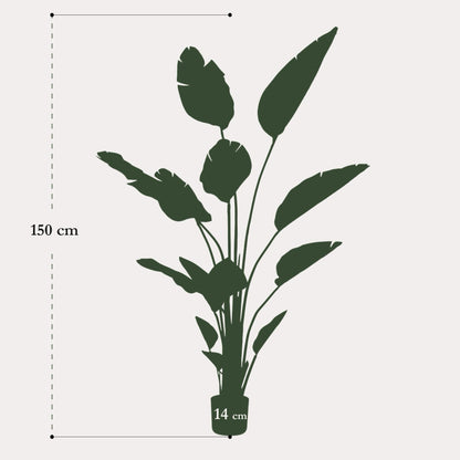 Strelitzia Nicolai Kunstplant 150 cm | Grote Tropische Kamerplant voor Binnen