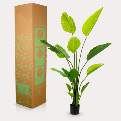 Strelitzia Nicolai Kunstplant 150 cm | Grote Tropische Kamerplant voor Binnen