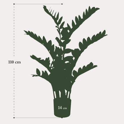 Kunstpalm 110 cm | Realistische Zamioculcas Binnenplant | Grote Kunstplant voor Woonkamer of Kantoor