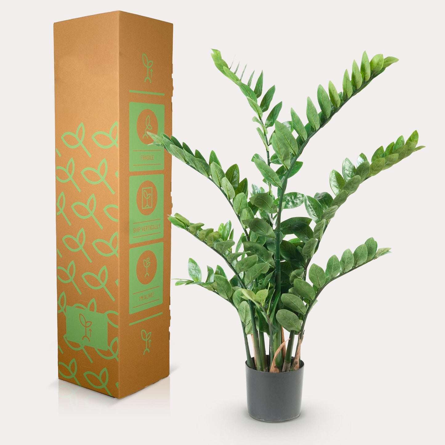 Kunstpalm 110 cm | Realistische Zamioculcas Binnenplant | Grote Kunstplant voor Woonkamer of Kantoor