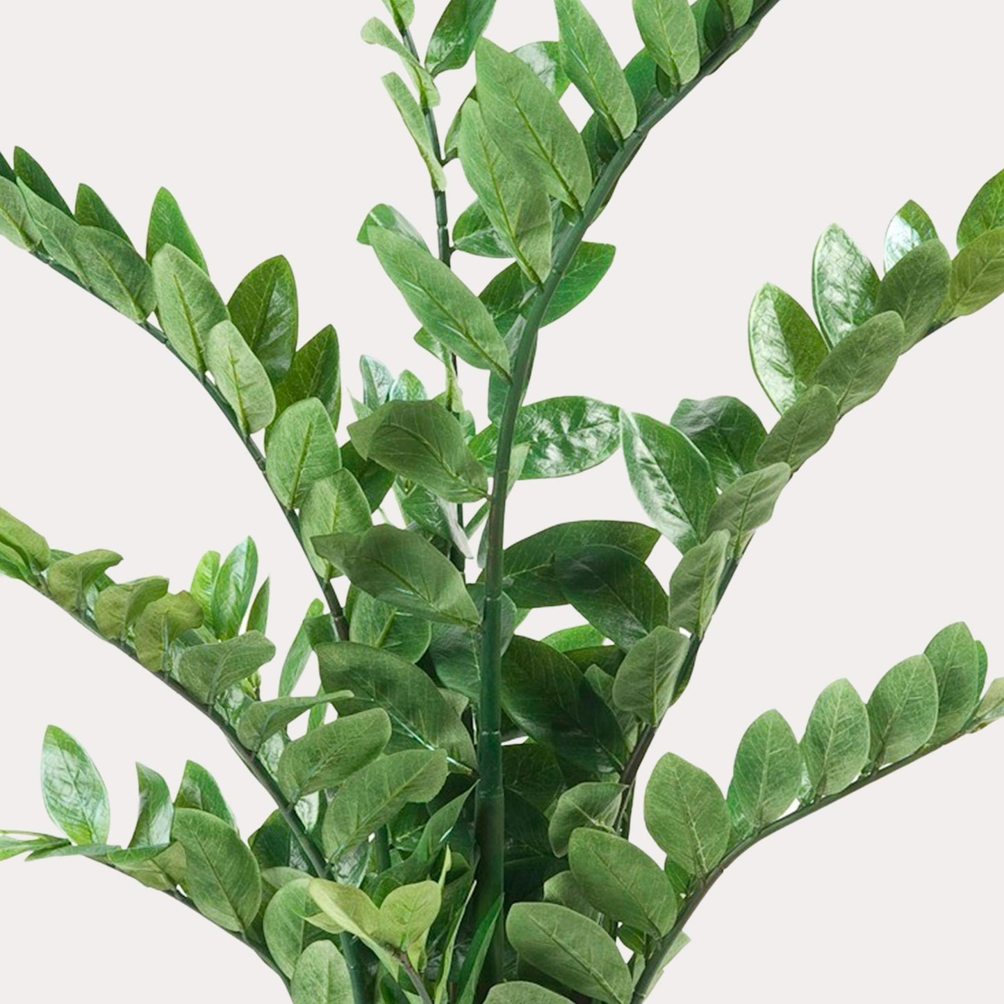 Kunstpalm 110 cm | Realistische Zamioculcas Binnenplant | Grote Kunstplant voor Woonkamer of Kantoor
