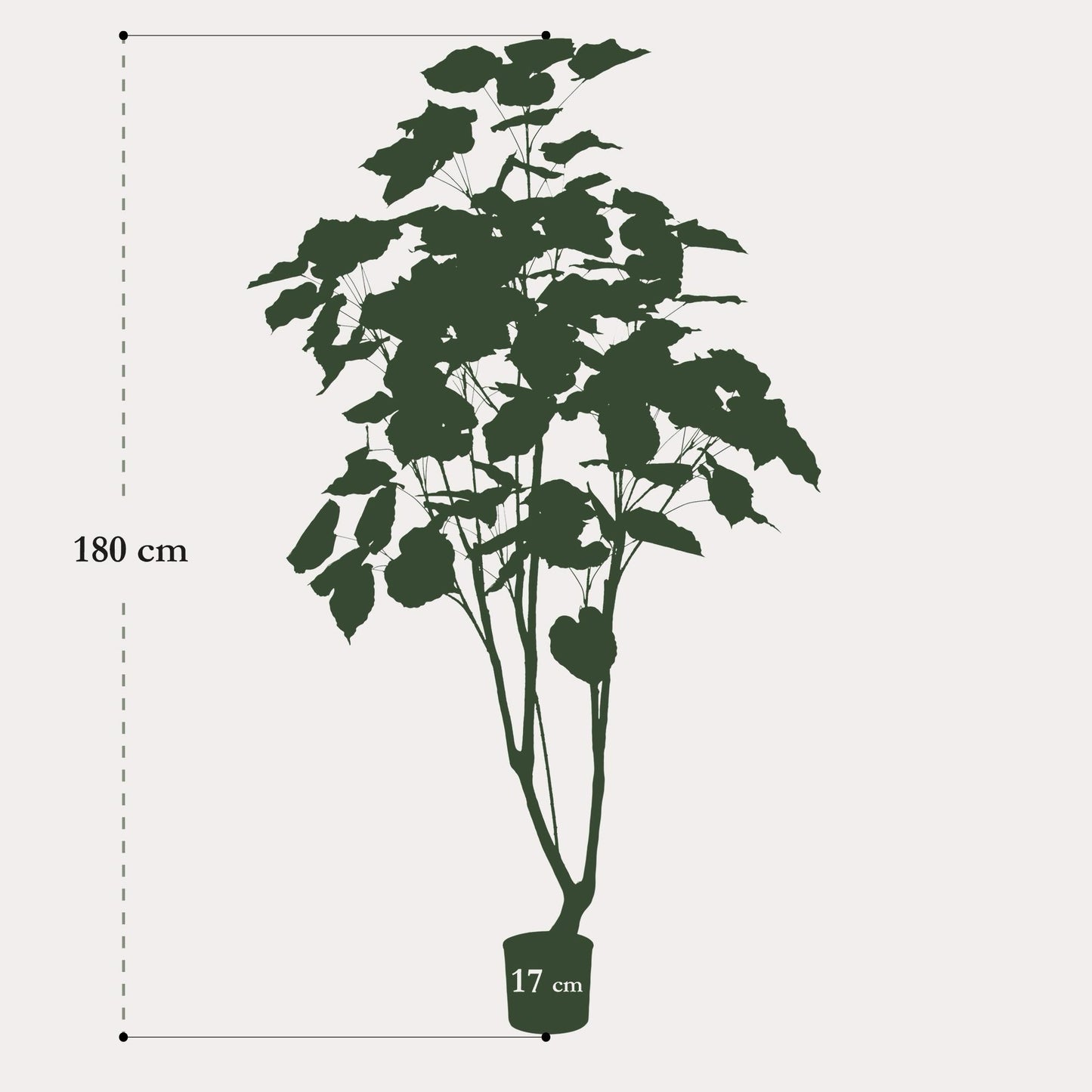 Ficus Umbellata kunstboom 180 cm | populaire Afrikaanse vijg kunstplant