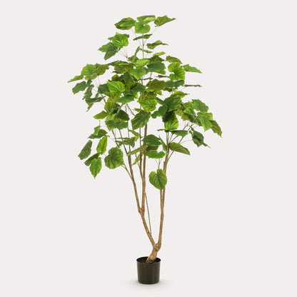 Ficus Umbellata kunstboom 180 cm | populaire Afrikaanse vijg kunstplant