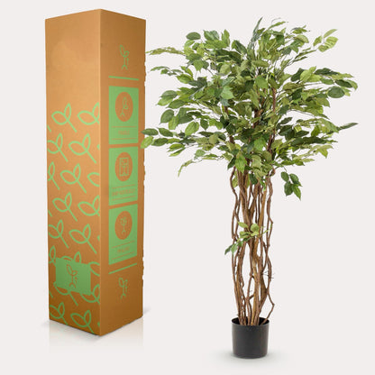 Ficus liana kunstplant 140 cm | Levensechte boom met kronkelstam voor luxe interieur
