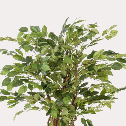 Ficus liana kunstplant 140 cm | Levensechte boom met kronkelstam voor luxe interieur
