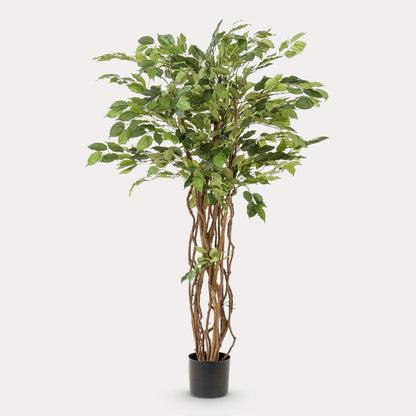 Ficus liana kunstplant 140 cm | Levensechte boom met kronkelstam voor luxe interieur