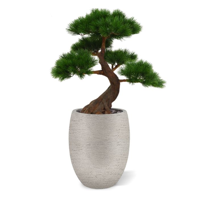 Kunst Bonsai Pinus - Stijlvolle Oosterse Sfeer voor Buiten