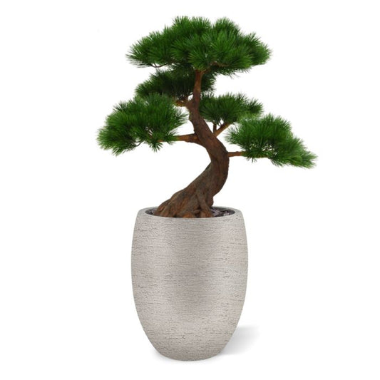 Kunst Bonsai Pinus - Stijlvolle Oosterse Sfeer voor Buiten