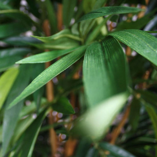 Kunst Bamboeplant - Stijlvolle Groene Decoratie voor Binnen