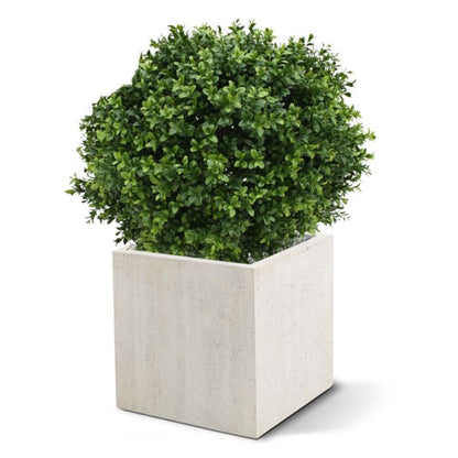 Kunst Buxusbol - Perfect Groen voor Buiten
