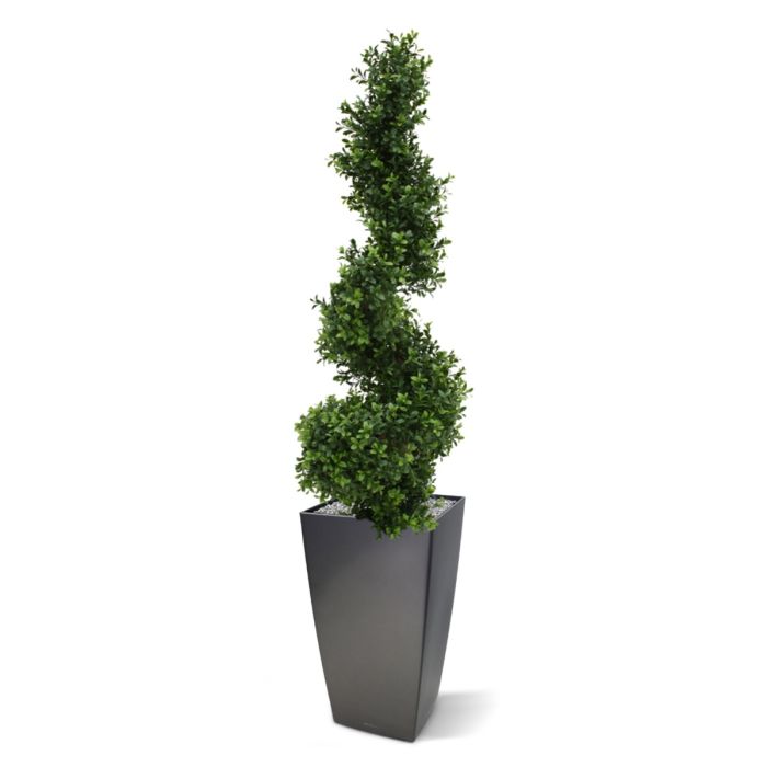 Kunst Buxus Spiraal - Stijlvolle Eyecatcher voor Buiten