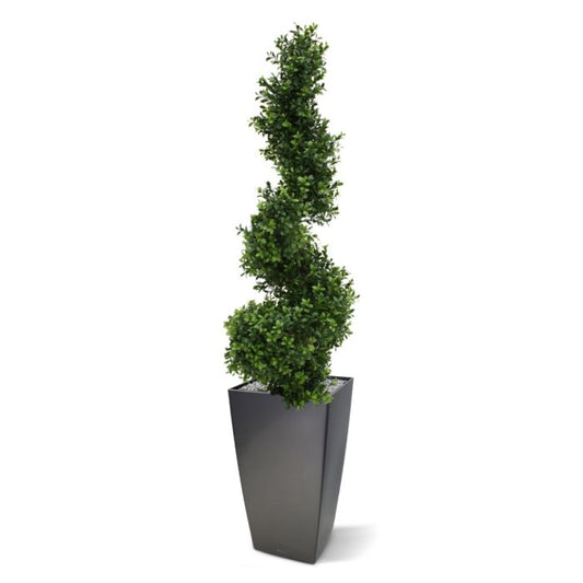 Kunst Buxus Spiraal - Stijlvolle Eyecatcher voor Buiten