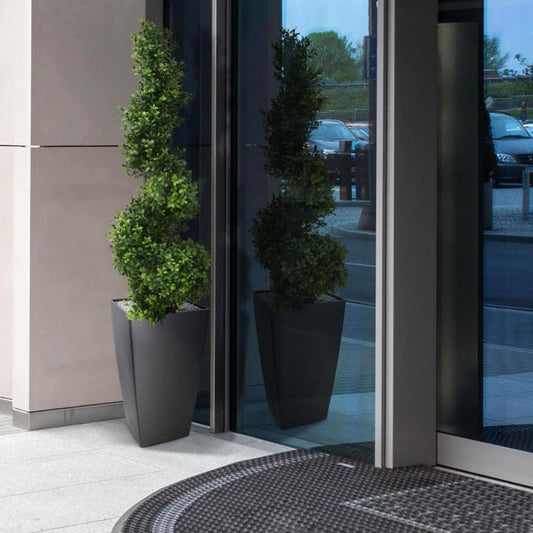 Kunst Buxus Spiraal - Stijlvolle Eyecatcher voor Buiten