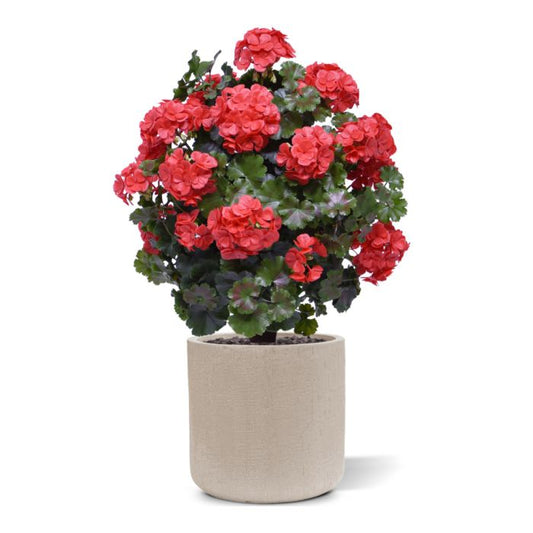 Rode Kunstplant in Pot - Sfeervolle Buitendecoratie