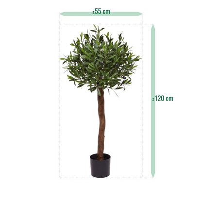Kunst Olijfboom op Stam - Luxe Groene Buitendecoratie