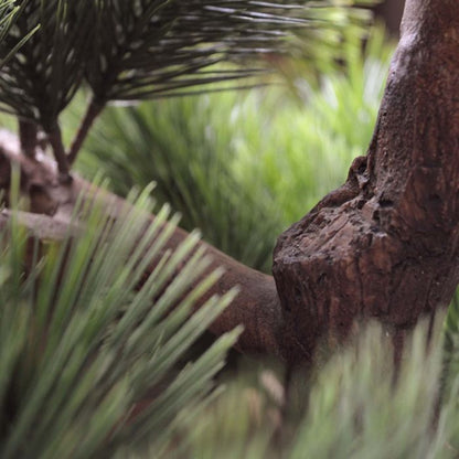 Kunst Bonsai Pinus - Stijlvolle Oosterse Sfeer voor Buiten