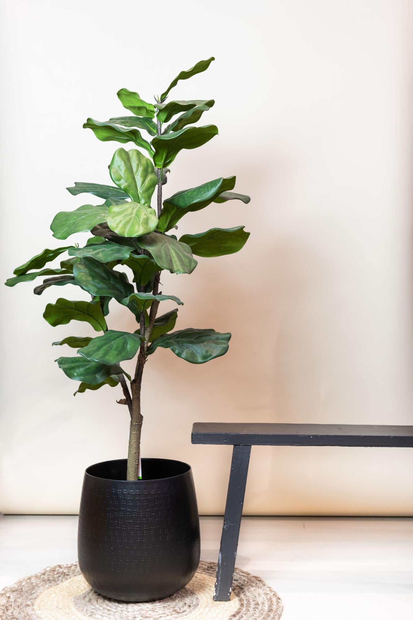 Kunstboom tropisch groen | 120 cm | Binnenplant | Ficus Lyrata Tabaksplant