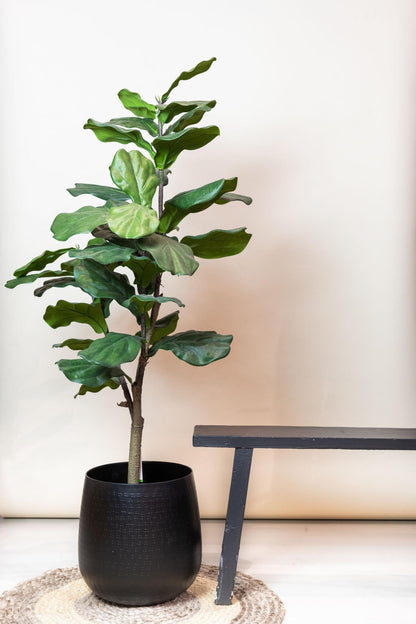 Kunstboom tropisch groen | 120 cm | Binnenplant | Ficus Lyrata Tabaksplant