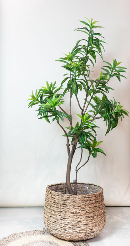 Kunstplant realistisch | 190 cm | Binnenplant | Dracaena Drakenboom