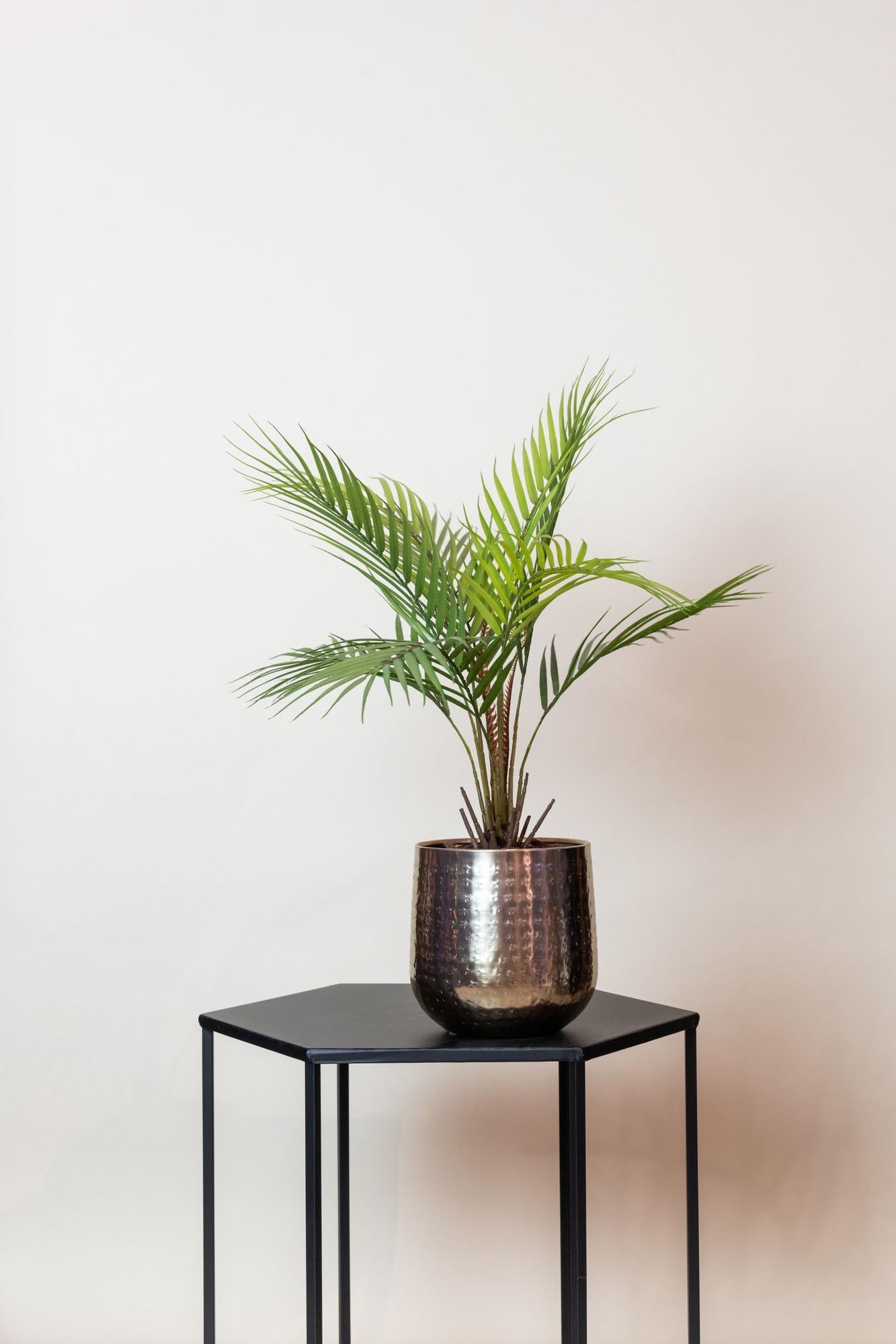 Kunstplant realistisch | 50 cm | Binnenplant | Chamaedorea Bergpalm