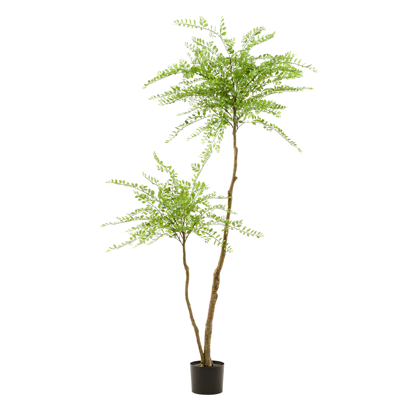 Kunstplant Sophora Tree | 190 cm | Weerbestendige Kunstboom | Luxe voor Tuin & Terras