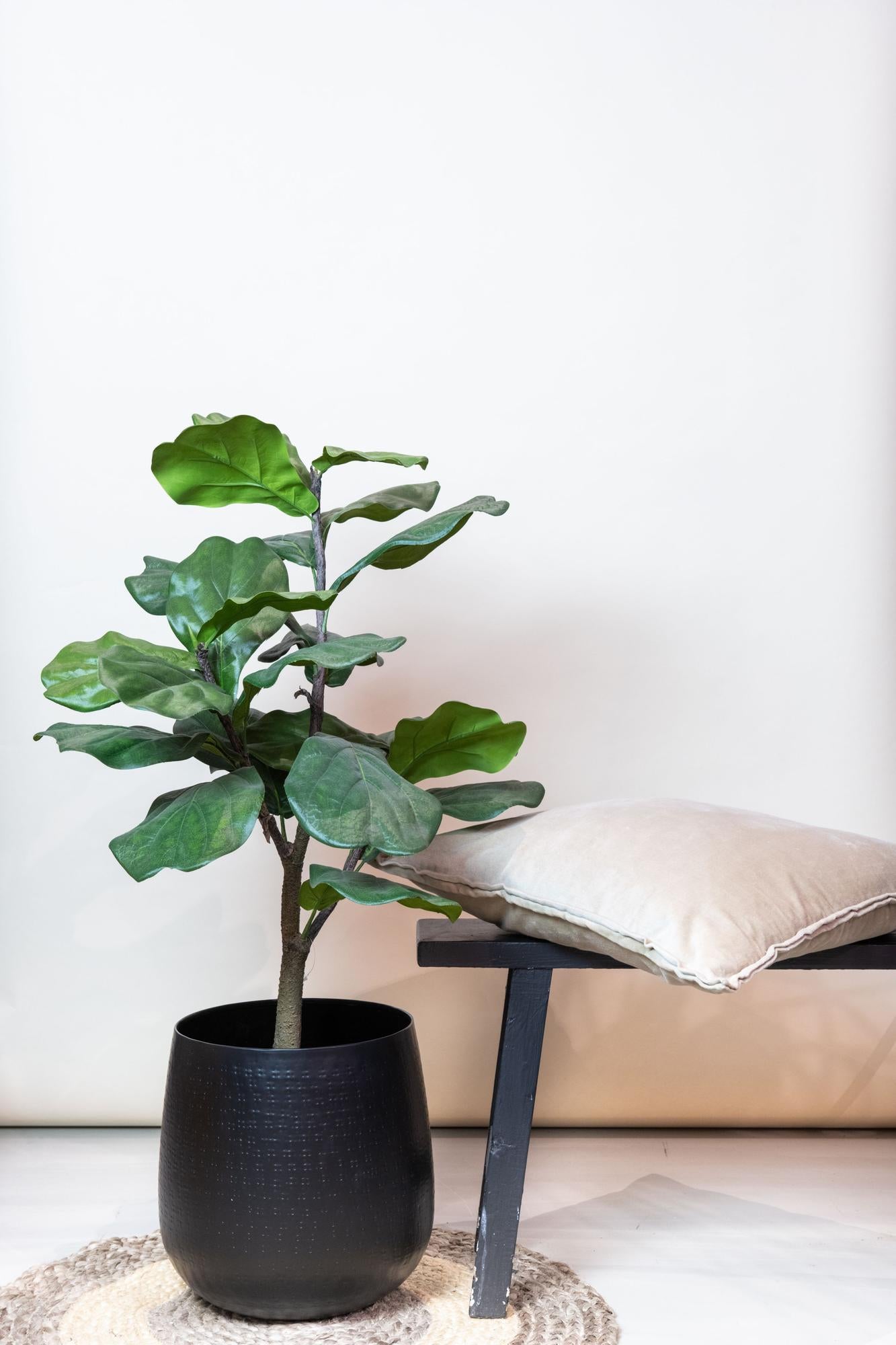 Kunstplant elegant groen | 90 cm | Binnenplant | Ficus Lyrata Tabaksplant