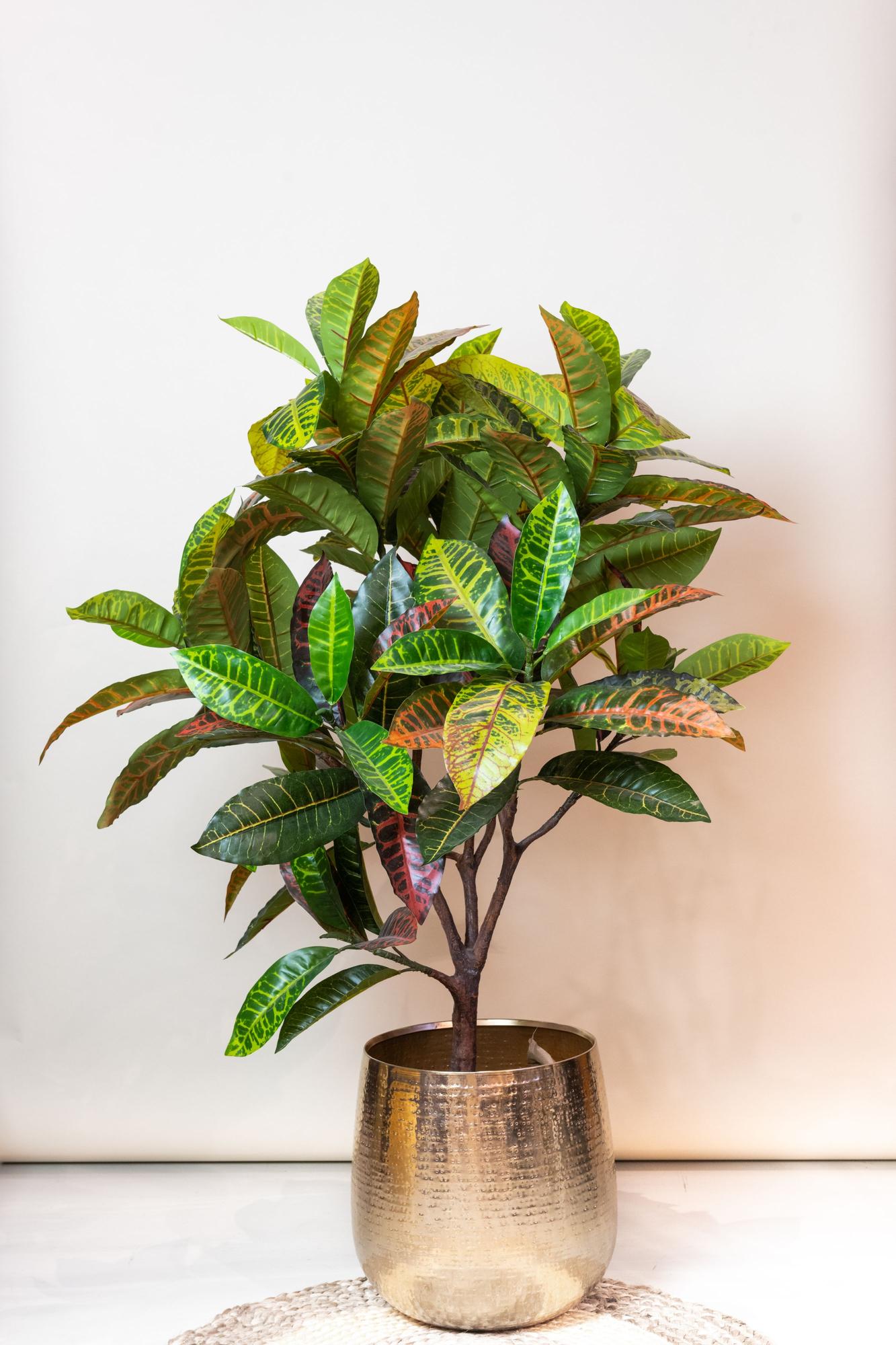 Kunststruik kleurrijk | 120 cm | Binnenplant | Croton Codiaeum Wonderstruik