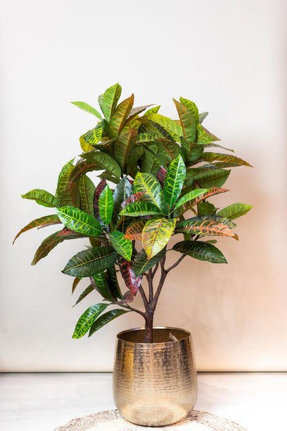 Kunststruik kleurrijk | 120 cm | Binnenplant | Croton Codiaeum Wonderstruik