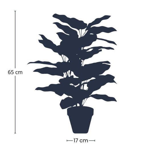 Calathea Orbifolia kunstplant 65 cm | Tropische kamerplant met sierblad | Luxe groene binnenplant