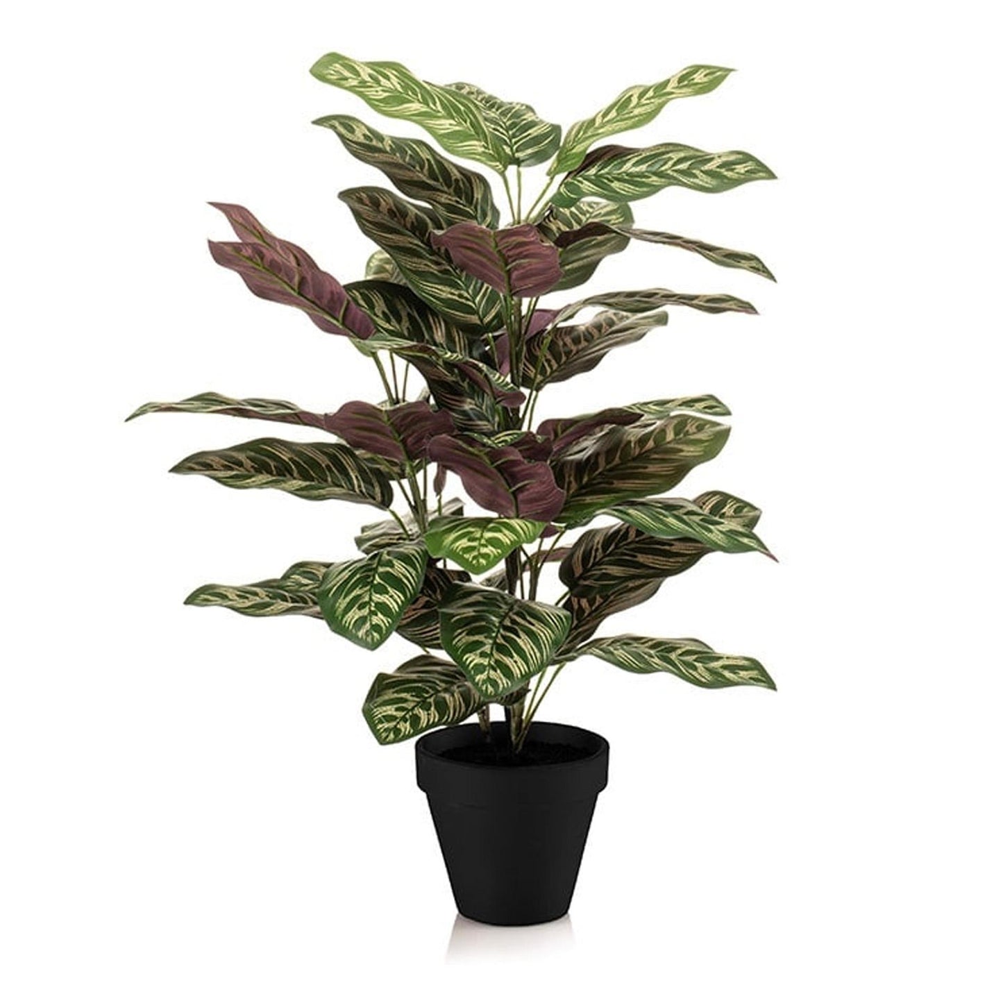 Calathea Orbifolia kunstplant 65 cm | Tropische kamerplant met sierblad | Luxe groene binnenplant
