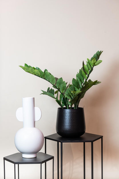 Zamioculcas kunstplant 70 cm | Kleine ZZ nepplant voor woonkamer