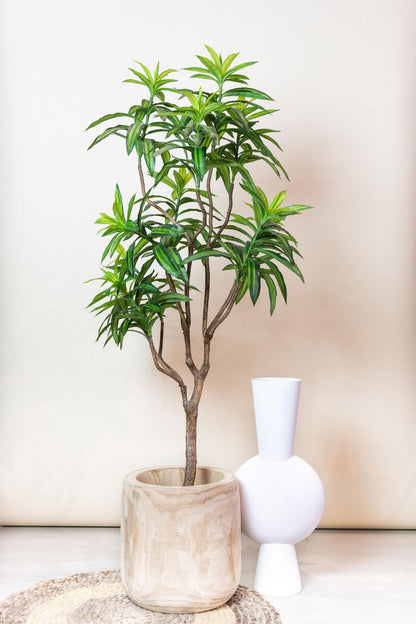 Kunstboom elegant groen | 155 cm | Binnenplant | Dracaena Drakenboom