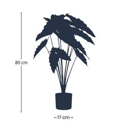 Alocasia Kunstplant 80 cm | Grote Olifantsoor Nepplant voor Binnen