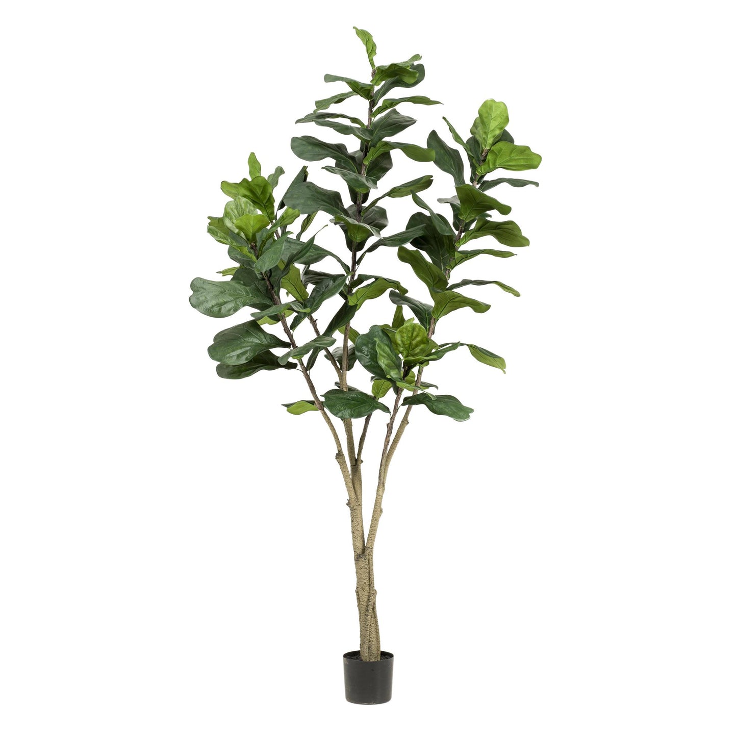 Kunstplant Ficus Premium 170 cm  | Stijlvolle Vioolbladplant | Volle Bladeren
