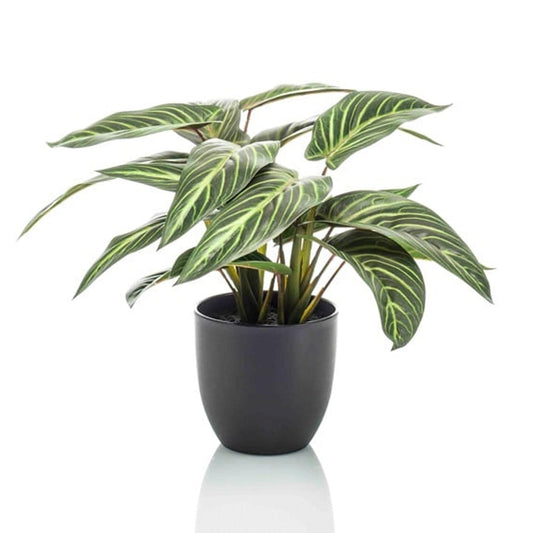 Calathea Zebrina Kunstplant 42 cm | Populaire Binnenplant met Fluweelblad