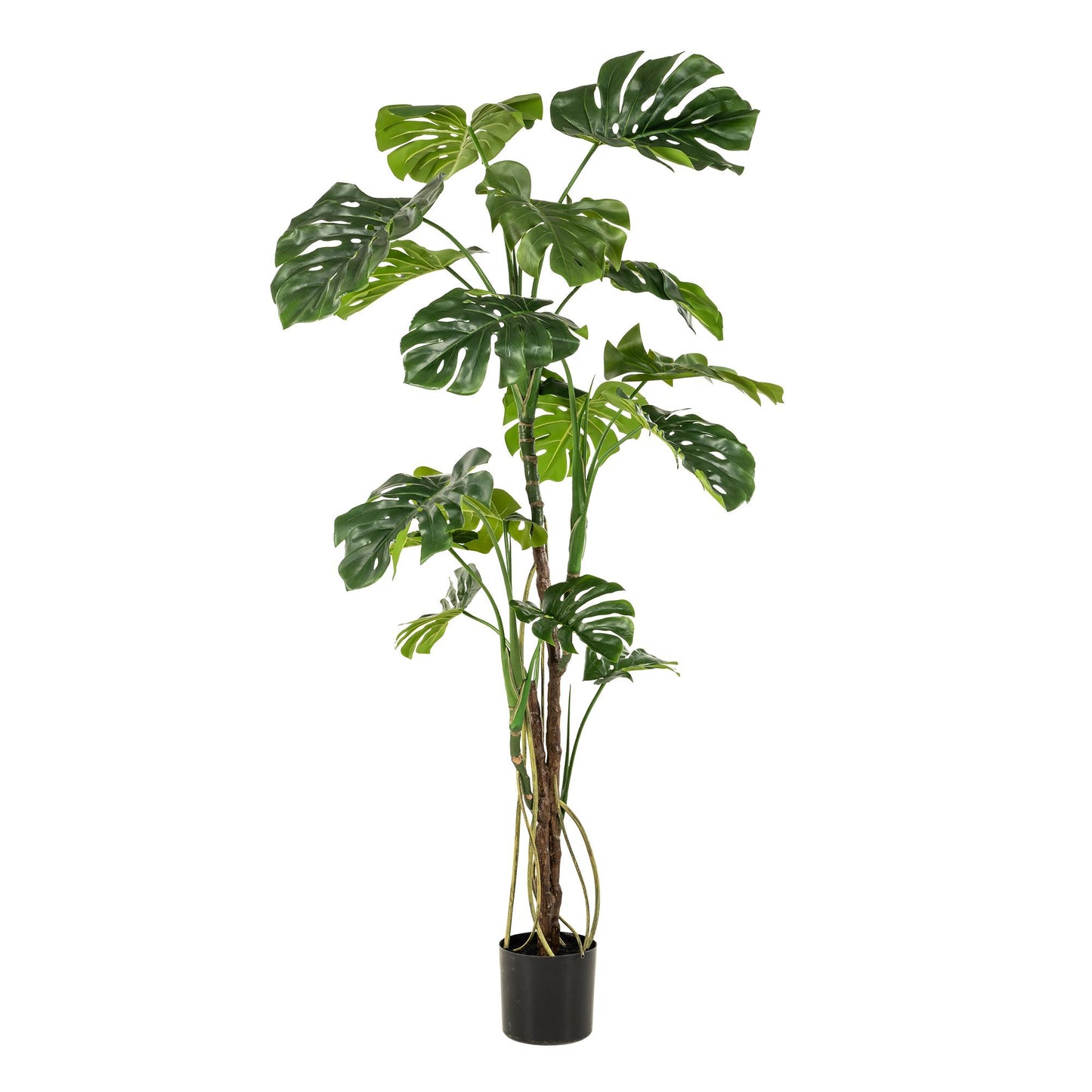 Kunstplant Monstera | 180 cm | Grote Gatenplant | Realistisch & Modern voor Binnen & Buiten